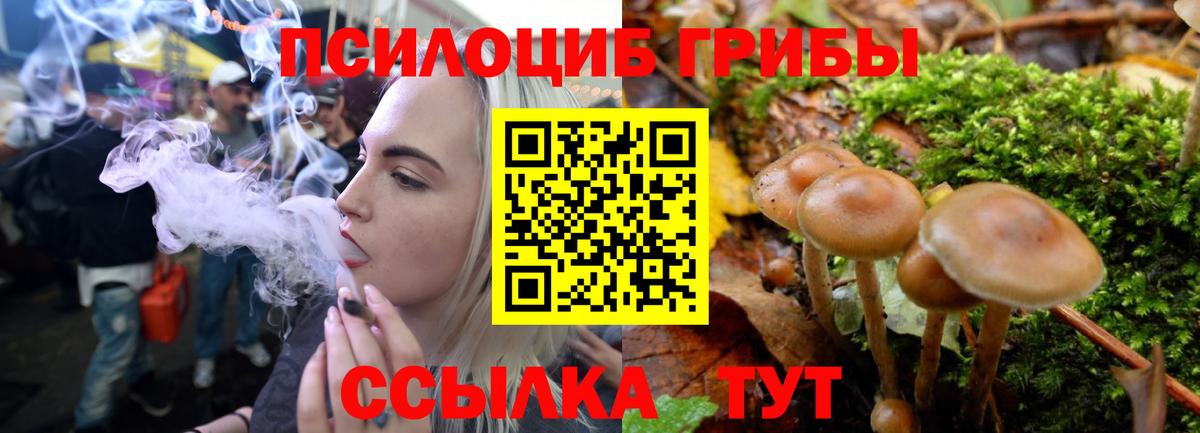Апрелевка  Псилоцибиновые грибы ЛСД  Вход с VPN 